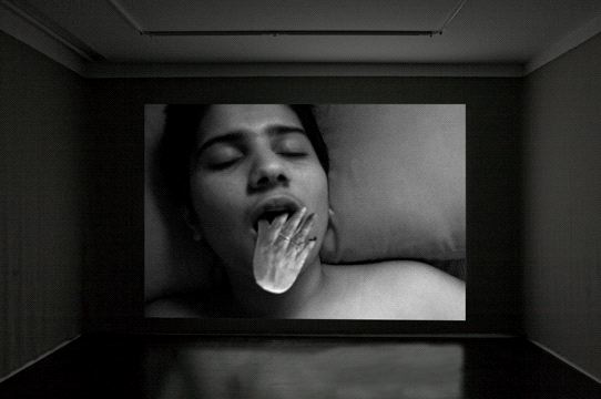 Tejal Shah, The Incidental Self