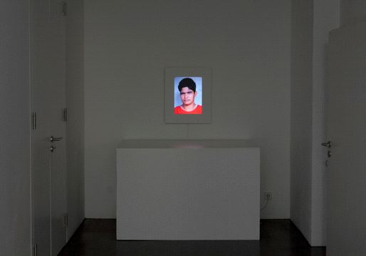 Tejal Shah, The Incidental Self
