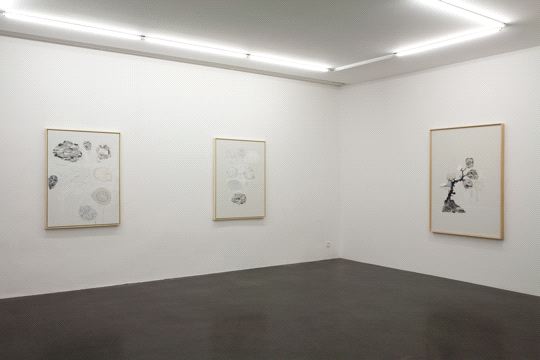 Ji Dachun, Bird painting without bird