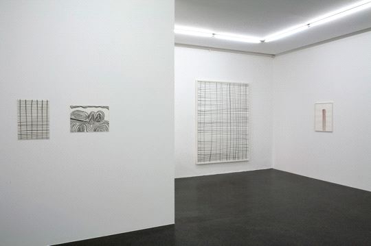 , Silvia Bächli