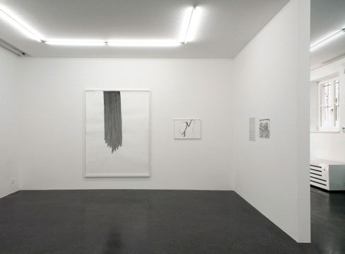 , Silvia Bächli