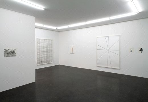, Silvia Bächli