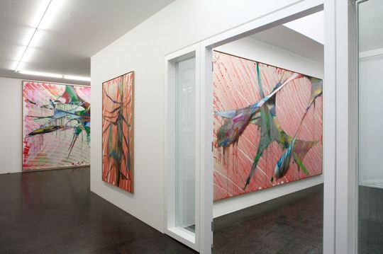 Katharina Grosse, 