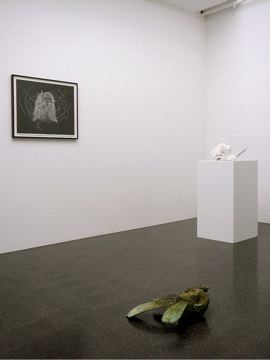 Kiki Smith, Norbert Prangenberg / Kiki Smith