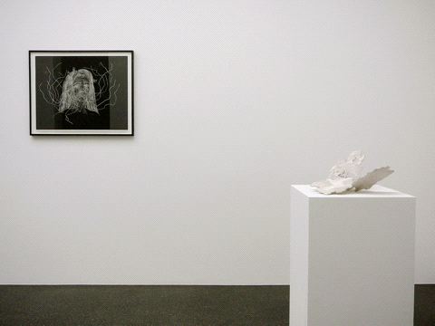Kiki Smith, Norbert Prangenberg / Kiki Smith