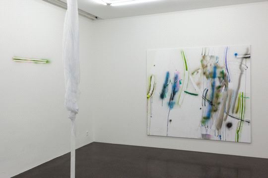 Simone Lanzenstiel, 