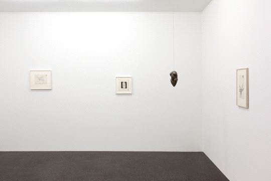 Louise Bourgeois / Maria Lassnig / Nancy Spero, Another Normal Love
