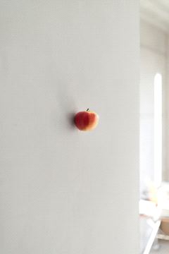 Karin Sander, Apfel (Kitchen Pieces)