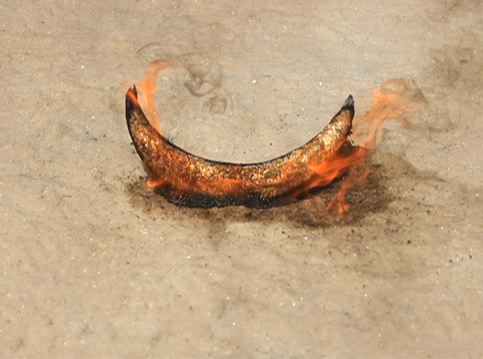 Tejal Shah, Moon Burning