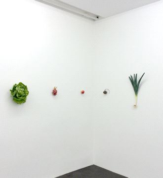 Karin Sander, Kitchen Pieces