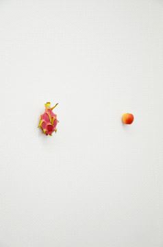 Karin Sander, Kitchen Pieces