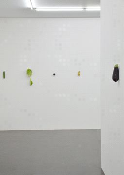 Karin Sander, Kitchen Pieces