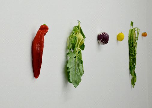Karin Sander, Kitchen Pieces
Installation view, Barbara Gross Galerie