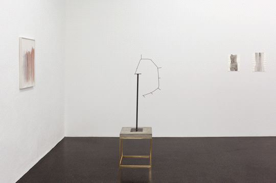 Silvia Bächli, Silvia Bächli // Carol Bove