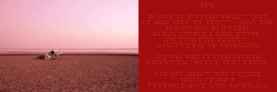 Tejal Shah, Deciphered V diptych