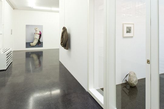 Jana Sterbak, Identity