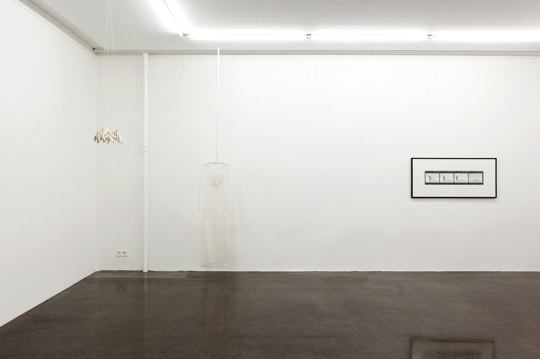 Jana Sterbak, Identity