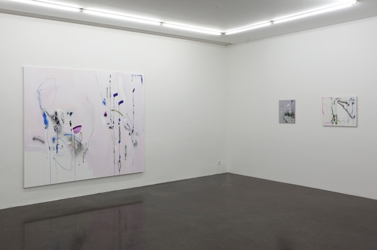 Simone Lanzenstiel, Diffuse Ereignisse