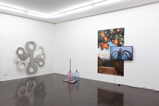 Sonia Leimer, Avenir Next