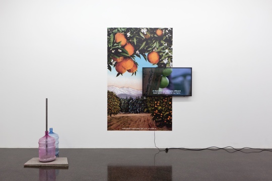 Sonia Leimer, Avenir Next