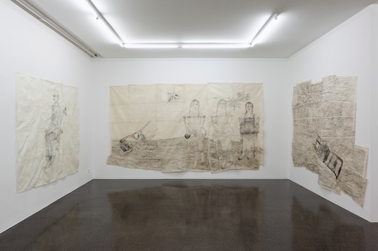 Kiki Smith, Reflection