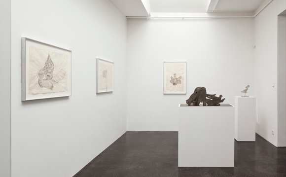 Kiki Smith, Reflection