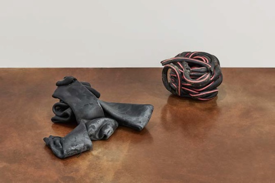 Nina Canell, Shedding Sheaths (K) No. 5