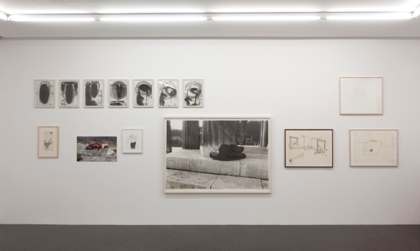, 30 Jahre Barbara Gross Galerie Teil 1
