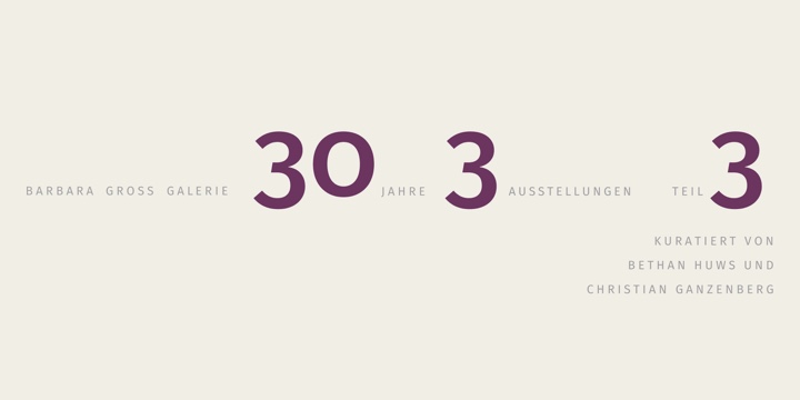 , 30 Jahre Barbara Gross Galerie Teil 3